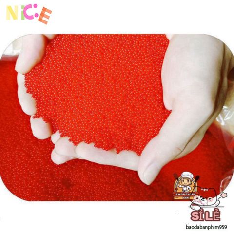 Bộ 250g Hạt Nở Đa Sắc - 20.000 Hạt Trang Trí Cây Cảnh, Hoa, Đồ Chơi Phát Triển Cho Trẻ Em
