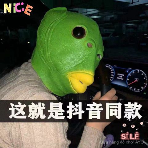Mặt Nạ Cá Đầu Xanh Vui Nhộn - Phụ Kiện Tiệc Tùng Độc Đáo Thích Hợp Cho Người Yêu Thích Sự Khác Biệt và Vui Vẻ