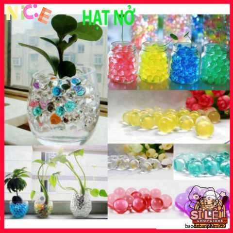 Bộ 1000 Hạt Nở Thủy Tinh Màu Sắc - Giúp Cây Cảnh Tươi Tắn, Giữ Ẩm và Trang Trí Không Gian Sống Sinh Động
