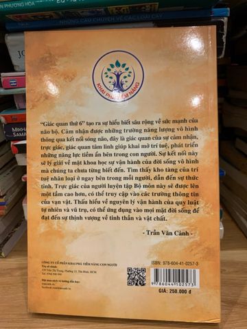 Giác Quan Thứ 6 - Tác Phẩm Khám Phá Tiềm Năng Trực Giác của Trần Văn Cảnh - Cẩm Nang Tự Phát Triển Và Sống Hoàn Hảo