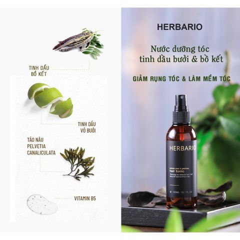 Nước Xịt Dưỡng Tóc Vỏ Bưởi & Bồ Kết Herbario 100ml - Dưỡng Ẩm, Kích Thích Mọc Tóc, Ngăn Rụng Tóc, Tự Nhiên & An Toàn