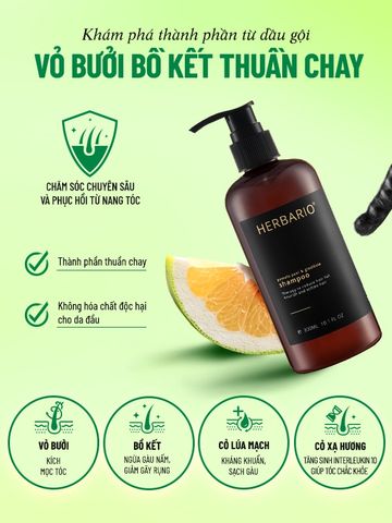 Dầu Gội Bưởi & Bồ Kết Herbario 300ml - Giảm Rụng Tóc, Làm Sạch Dịu Nhẹ, Nuôi Dưỡng Tóc Khỏe Mạnh