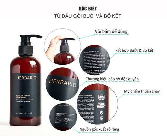 Dầu Gội Vỏ Bưởi & Bồ Kết 300ml - Phục Hồi Tóc, Giảm Rụng Tóc, Chăm Sóc Tóc Tự Nhiên Herbario