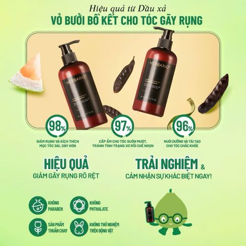 Dầu Xả Vỏ Bưởi & Bồ Kết HERBARIO 300ml - Dầu Xả Thuần Chay Cho Tóc Mềm Mượt, Bóng Khỏe, Chống Rụng Tóc