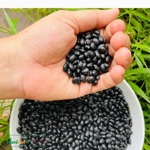 Đậu Tây Noom 300g - Hạt dinh dưỡng 100% giống thuần chủng giàu dưỡng chất từ Tây Giang - Sử dụng cho mọi bữa ăn, phù hợp cho người ăn chay
