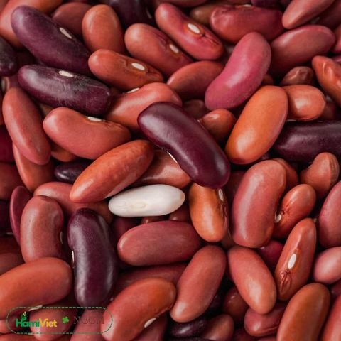 Đậu Tây Noom 300g - Hạt dinh dưỡng 100% giống thuần chủng giàu dưỡng chất từ Tây Giang - Sử dụng cho mọi bữa ăn, phù hợp cho người ăn chay