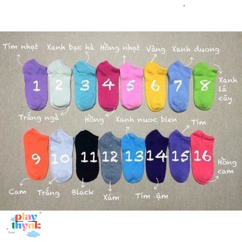 Tất Ngắn Nhiều Sắc Màu WAFAGRO - Giảm 5k Cho Đơn Hàng Từ 50k - Vớ Thời Trang Chất Lượng Cao, Đẹp Và Bền