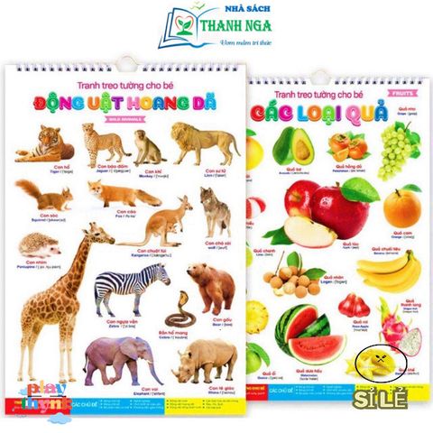 Bộ Sách Tranh Treo Tường 14 Chủ Đề Cho Bé - Khám Phá Vũ Trụ và Thế Giới - Giáo Dục Sáng Tạo 12 Trang