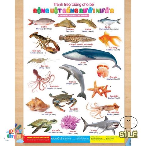 Bộ Sách Tranh Treo Tường 14 Chủ Đề Cho Bé - Khám Phá Vũ Trụ và Thế Giới - Giáo Dục Sáng Tạo 12 Trang