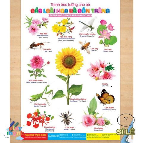 Bộ Sách Tranh Treo Tường 14 Chủ Đề Cho Bé - Khám Phá Vũ Trụ và Thế Giới - Giáo Dục Sáng Tạo 12 Trang