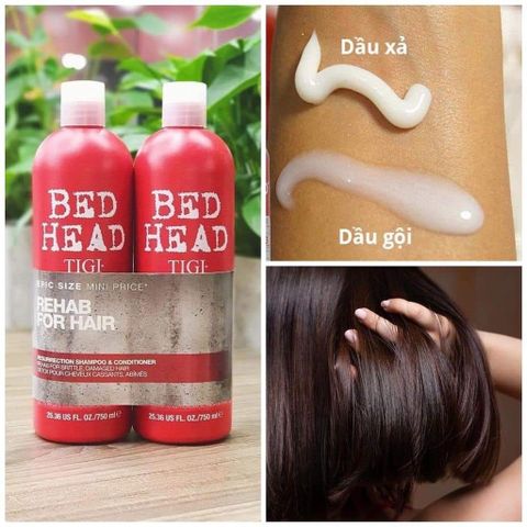 Dầu Gội Xả TIGI Đỏ 3 Bed Head Urban Antidotes Resurrection - Phục Hồi Tóc Hư Tổn, Dưỡng Ẩm và Bảo Vệ Tóc Khỏe Mạnh