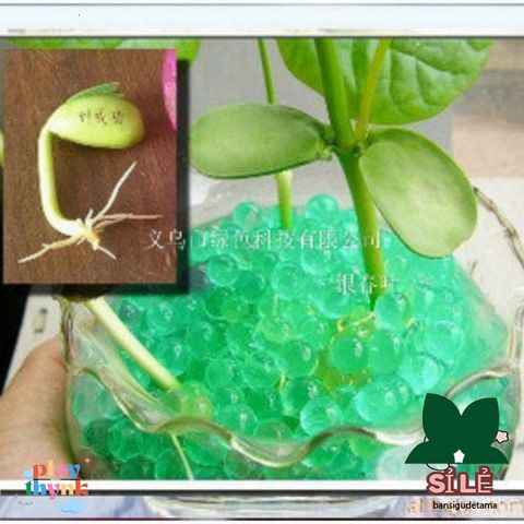Gói Hạt Nở Thủy Sinh 10.000 Viên ARB39 - Đồ Chơi Trang Trí Cây Cảnh Đẹp, An Toàn Cho Trẻ Em