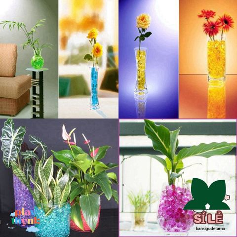 Hạt Nở Thủy Tinh - 200-220 Hạt Trân Châu Chăm Sóc Cây Cảnh, Đất Tinh Thể Tạo Độ Ẩm, Trang Trí Văn Phòng, Không Gây Hại