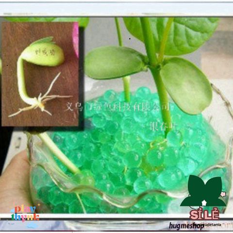 Gói 10.000 Viên Tinh Thể Thủy Sinh ARB39 - Hạt Nở Trang Trí Cây Cảnh, Đồ Chơi An Toàn Cho Bé, Thay Thế Đất Trồng Sạch, Nhanh Nở