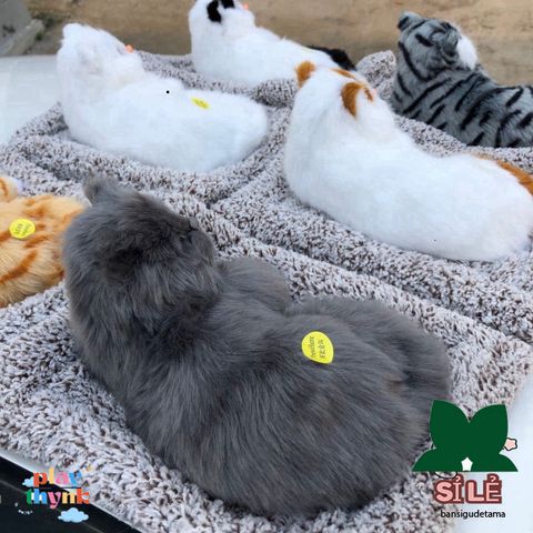 Gấu Bông Chó Gấu Quý Giá 20-28cm - Thiết Kế Dễ Thương Khử Mùi Xe Hơi Bằng Than Hoạt Tính - Phụ Kiện Trang Trí Xe Ô Tô