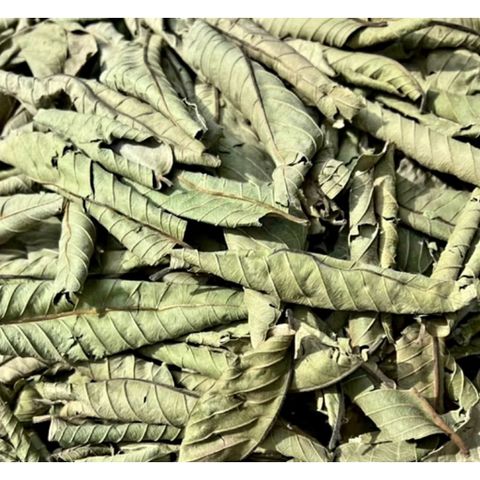 Lá Và Trái Cây Khô Dược Liệu 1kg - Lá Sung, Lá Ổi, Đu Đủ Sấy, Bưởi, Xoài - Hàng Mới 100% Giao Tận Nơi