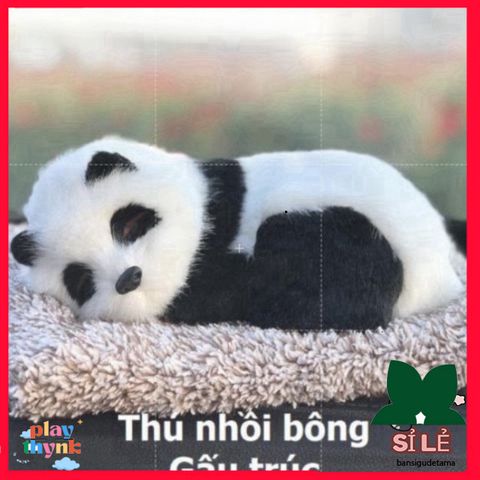 Thú Bông Chó Mèo Hút Mùi Than Hoạt Tính - Phụ Kiện Trang Trí Nội Thất Ô Tô Dễ Thương Cho Trẻ Em
