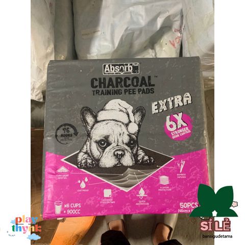 Miếng Lót Vệ Sinh Charcoal cho Chó Mèo - Giải Pháp Sạch Sẽ và Tiện Lợi cho Thú Cưng - S & M Kích Thước