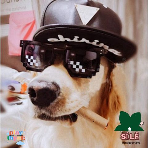Kính Thug Life Like A Boss - Sunglasses Hot Trend Siêu Ngầu, Chất Liệu ABS Cao Cấp, Phù Hợp Nam Nữ, 6 Mẫu Độc Đáo