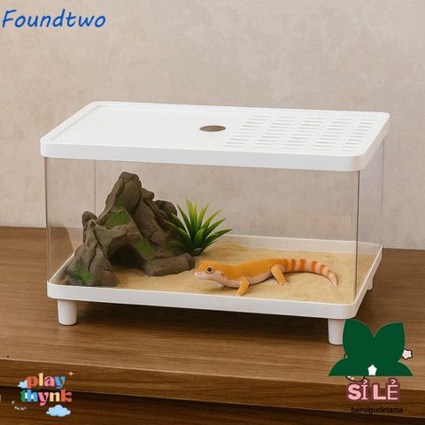 Bể Nuôi Côn Trùng FOUNDTWO - Terrarium Trong Suốt An Toàn Cho Thằn Lằn và Nhện, Dễ Quan Sát và Thoáng Khí