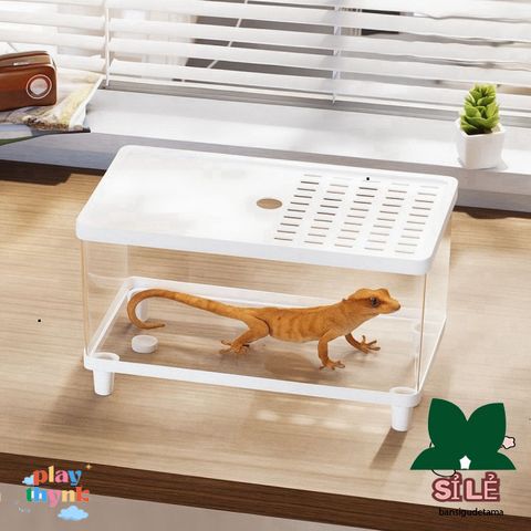 Bể Nuôi Côn Trùng FOUNDTWO - Terrarium Trong Suốt An Toàn Cho Thằn Lằn và Nhện, Dễ Quan Sát và Thoáng Khí