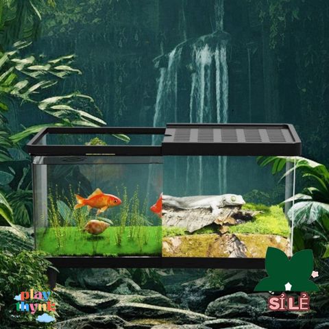 Bể Nuôi Côn Trùng FOUNDTWO - Terrarium Trong Suốt An Toàn Cho Thằn Lằn và Nhện, Dễ Quan Sát và Thoáng Khí
