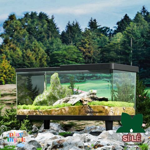 Bể Nuôi Côn Trùng FOUNDTWO - Terrarium Trong Suốt An Toàn Cho Thằn Lằn và Nhện, Dễ Quan Sát và Thoáng Khí