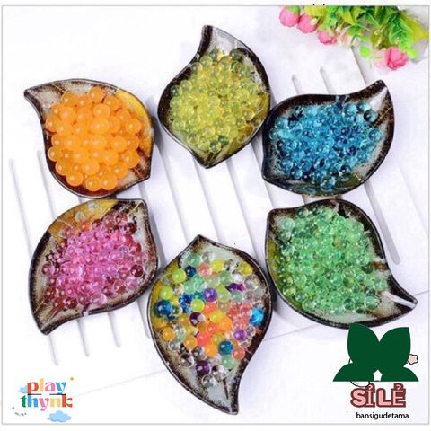 Combo 24 Gói Hạt Nở Trang Trí Cây Cảnh - Sắc Màu Không Gian Sống Thêm Tươi Sáng