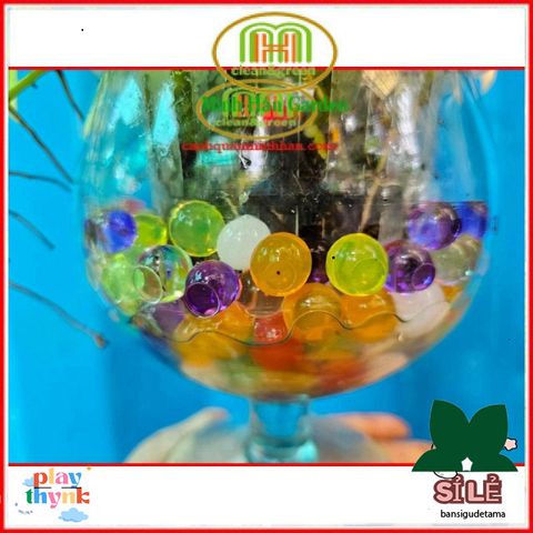 Hạt Tinh Thể Trồng Cây Thủy Sinh - 300 Viên Đất Sạch Trang Trí Bình Lọ Thủy Tinh, Đẹp Mắt và Dễ Dàng Chăm Sóc