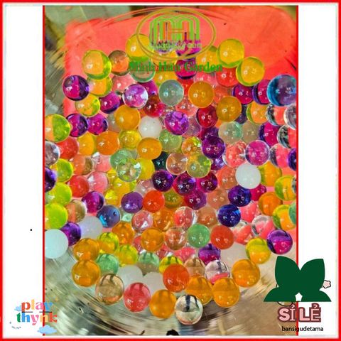 Hạt Tinh Thể Trồng Cây Thủy Sinh - 300 Viên Đất Sạch Trang Trí Bình Lọ Thủy Tinh, Đẹp Mắt và Dễ Dàng Chăm Sóc