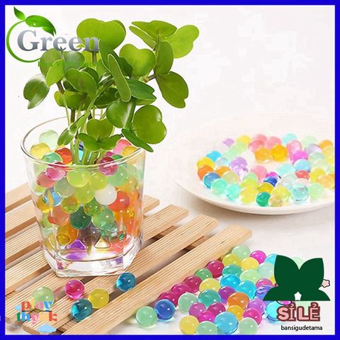 Set 1000 Viên Hạt Tinh Thể Nở Đẹp Mắt - Trang Trí Hoa Lọc Sang Trọng, Thú Vị Cho Chậu Cây và Đám Cưới