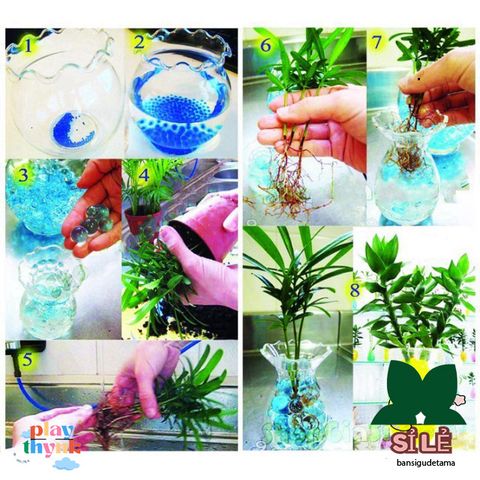 Hạt Tinh Thể Trồng Cây - Gói 200-220 Hạt Trân Châu Pha Lê Chăm Sóc Cây, Tạo Không Gian Sống Xanh Thoáng Mát, Dinh Dưỡng Tự Nhiên