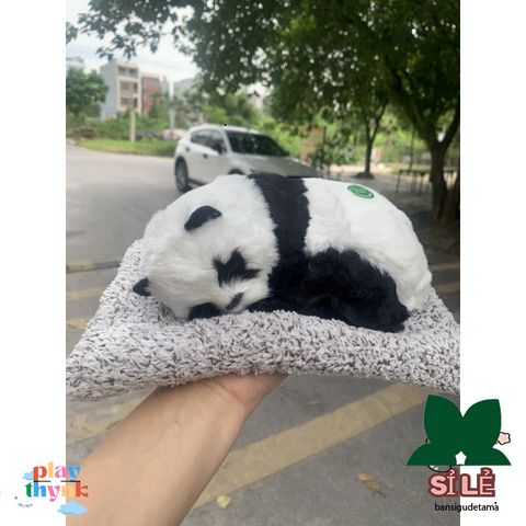 Thú Bông Khử Mùi Chó Mèo Than Hoạt Tính - Trang Trí Xe Ô Tô & Không Gian Làm Việc - An Toàn & Dễ Thương cho Trẻ Nhỏ
