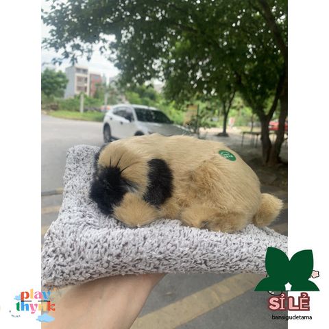 Thú Bông Khử Mùi Chó Mèo Than Hoạt Tính - Trang Trí Xe Ô Tô & Không Gian Làm Việc - An Toàn & Dễ Thương cho Trẻ Nhỏ