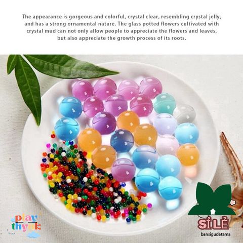 Bộ 24 Gói Hạt Nở Tinh Thể Trang Trí Cây Cảnh - Phụ Kiện Deco Không Gian Sống Tươi Sáng