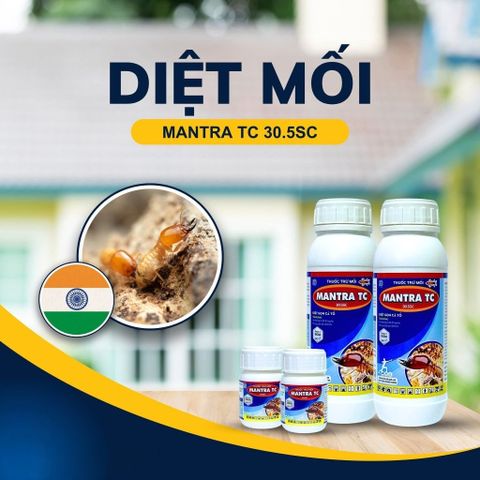 Thuốc Trừ Mối MANTRA TC 30.5SC 500ml – An Toàn, Không Mùi, Hiệu Quả Cao Cho Công Trình Xây Dựng Nhập Khẩu Từ Ấn Độ