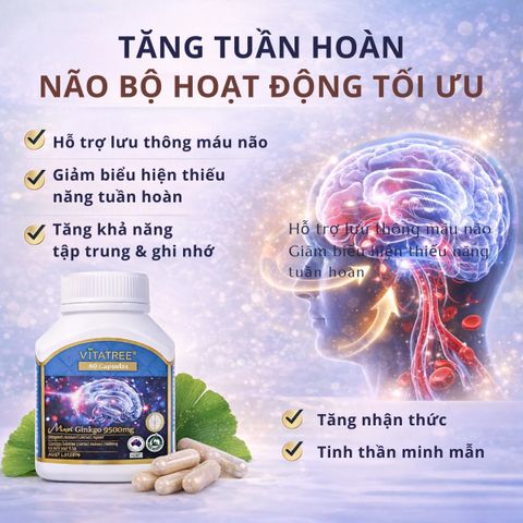 Viên uống Vitatree Maxi Ginkgo 9500mg hỗ trợ sức khỏe trí não - Lọ 60 viên