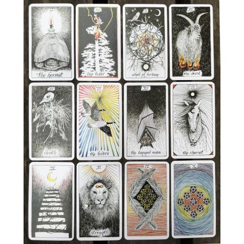 Bộ Bài The Wild Unknown Tarot - Thẻ Bài Dự Đoán Vận Mệnh Cao Cấp 78 Lá, Thiết Kế Trừu Tượng Động Thực Vật, Tác Giả Kim Krans