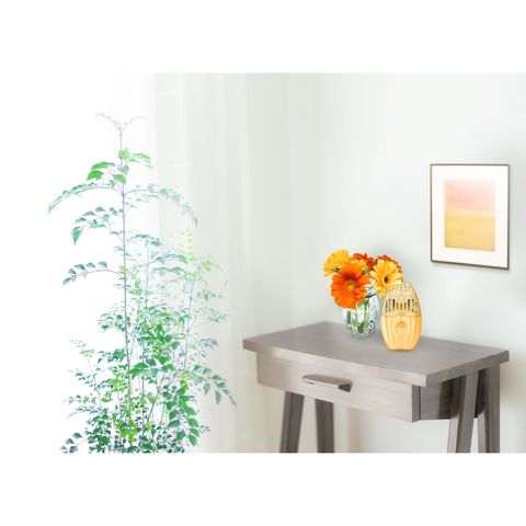 HỘP KHỬ MÙI LÀM THƠM PHÒNG SHOSHURIKI AROMA giúp Không gian trong lành, Hương thơm sang trọng, Hiệu quả giúp thơm phòng 579551