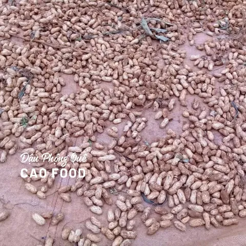 Đậu Phộng Quê 1KG - Lạc Sạch Không Thuốc, Hạt Tươi Nguyên Chất Trồng Xen Cà Phê, Thực Phẩm Bổ Dưỡng Khoa Học Từ Daklak