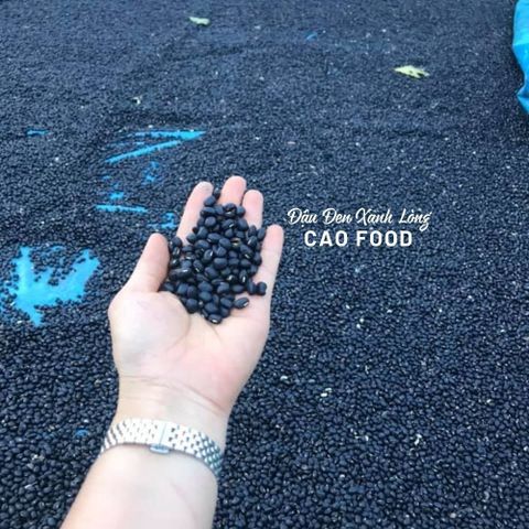 Đậu Đen Xanh Lòng CAO Hữu Cơ 1KG - Giống Nguyên Bản, Sạch 100% Không Biến Đổi Gen, Tươi Mới từ Đaklak Việt Nam
