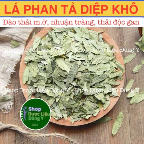 Lá Phan Tả Diệp 100g - Giải Quyết Táo Bón, Hỗ Trợ Giảm Cân, Bảo Quản Hút Chân Không - Thực Phẩm Khô Tự Nhiên Chất Lượng Cao