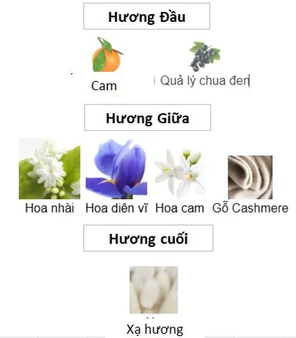 Nước Hoa Laverne Sense Eau de Parfum Nữ - Hương Hoa Cỏ Trái Cây Sang Trọng, Độ Bền Lên Đến 12 Giờ