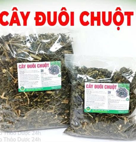 Trà Thảo Mộc Đuôi Chuột Hỗ Trợ Tim Mạch, Đường Huyết, Dạ Dày - Khô Sạch Thơm 500g