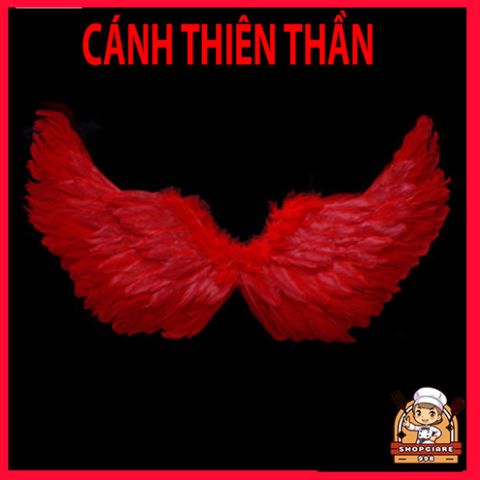Cánh Thiên Thần Lông Vũ Nhiều Màu Sắc - Phụ Kiện Hóa Trang Độc Đáo Cho Trẻ Em & Người Lớn, Hoàn Hảo Cho Tiệc Tùng & Halloween