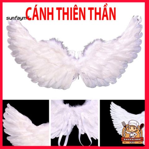 Cánh Thiên Thần Lông Vũ Nhiều Màu Sắc - Phụ Kiện Hóa Trang Độc Đáo Cho Trẻ Em & Người Lớn, Hoàn Hảo Cho Tiệc Tùng & Halloween