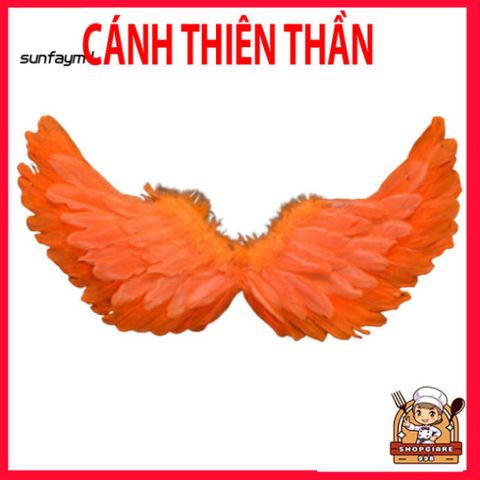 Cánh Thiên Thần Lông Vũ Nhiều Màu Sắc - Phụ Kiện Hóa Trang Độc Đáo Cho Trẻ Em & Người Lớn, Hoàn Hảo Cho Tiệc Tùng & Halloween