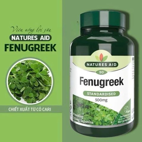 Viên uống lợi sữa Fenugreek Natures Aid 500mg - Hỗ trợ tăng cường sản xuất sữa mẹ, 90 viên chiết xuất tự nhiên từ Anh