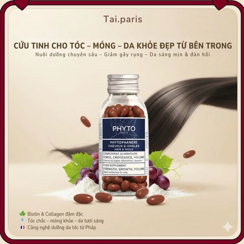 Viên Uống Dưỡng Tóc & Móng Phyto Phytophanere Hair & Nails - Hỗ Trợ Tóc Dày Khỏe, Móng Chắc Đẹp - 120 Viên Thực Phẩm Chức Năng