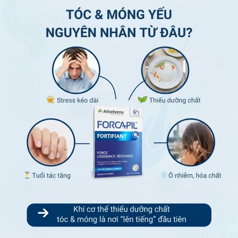 Viên Uống Arkopharma Forcapil Fortifiant 60 viên - Bổ Sung Dinh Dưỡng Tóc và Móng, Giảm Gãy Rụng, Tăng Cường Sức Khỏe Tóc